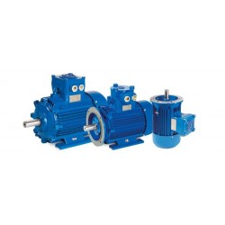 Motor eléctrico trifásico ATEX antideflagrante, carcasa fundición, 0.75kW/1CV, 1000 rpm, 90B3 (ØEje motor 24 mm) 220/380V, IP66, IE2, ZONA 21