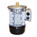 Motor eléctrico trifásico Rael 4kW/5.5CV, 3000 rpm, 100B5 (ØEje motor 28 mm, ØBrida 250 mm) 220/380V, IE1, IP55, Carcasa aluminio